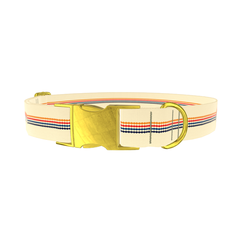 Colorful Hexagon Dog Collar - metal rose gold
