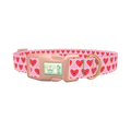 Kawaii Hearts Dog Collar - plastic rose gold