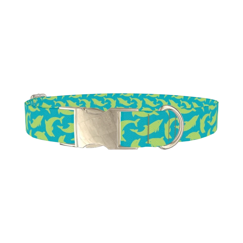 Nautical Dolphin Dog Collar - metal silver
