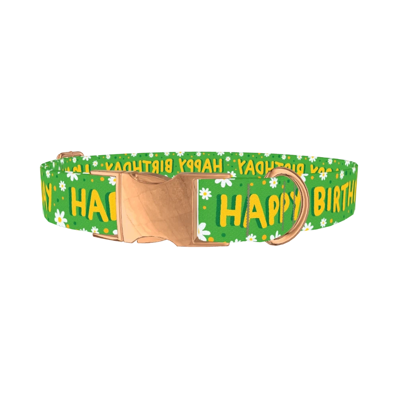 Birthday Floral Dog Collar - metal rose gold