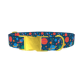 Space Adventure Dog Collar - metal gold