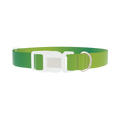 Green Gradient Dog Collar - plastic silver