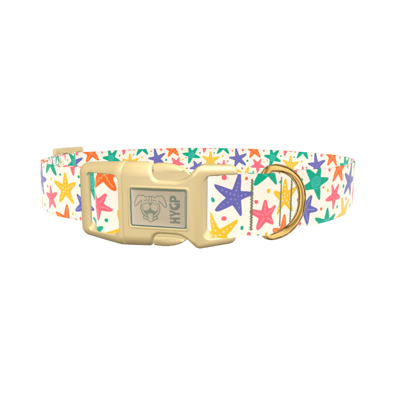 Starfish Mix Dog Collar - plastic rose gold