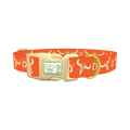 Western Skull Dog Collar - plastic gold