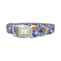 Blue Halloween Witch Hat Dog Collar - plastic silver
