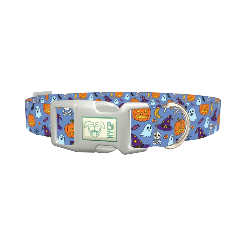 Blue Halloween Witch Hat Dog Collar - plastic silver