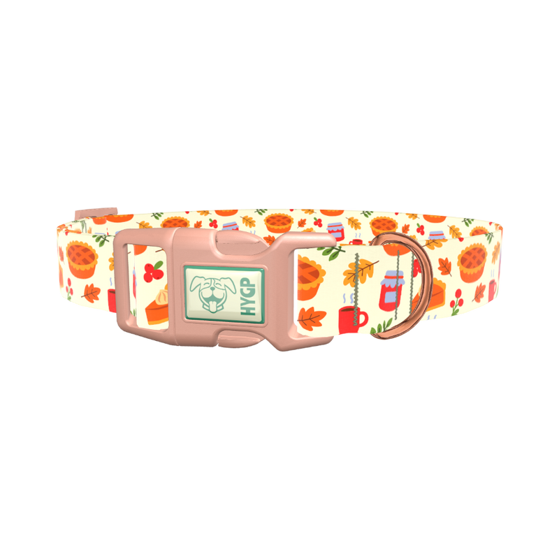 Thanksgiving Pie Dog Collar - plastic gold