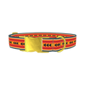 Retro Arrow Stripe Dog Collar - metal gold