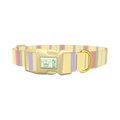 Pastel Stripe Dog Collar - plastic gold