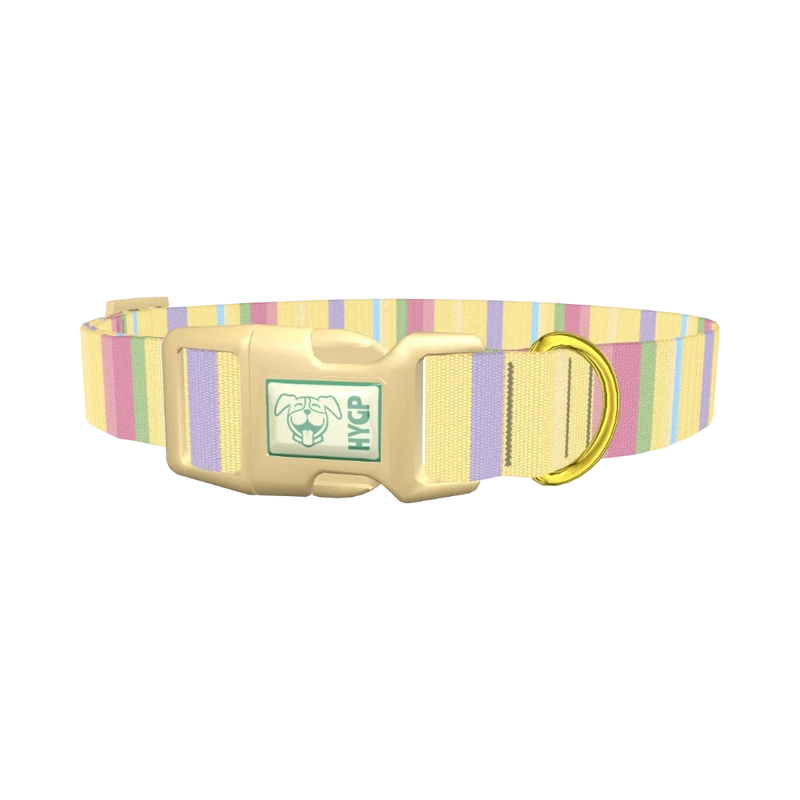 Pastel Stripe Dog Collar - plastic gold