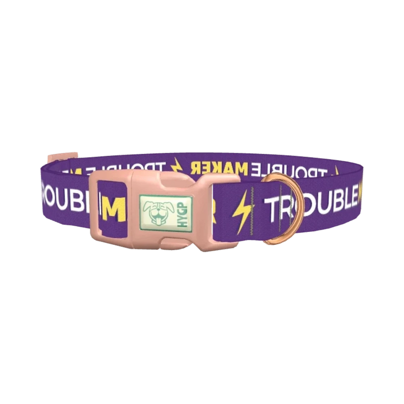 Trouble Maker Dog Collar - plastic rose gold