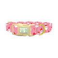 Christmas Santa Dog Collar - plastic gold