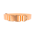 Halloween Stripes Dog Collar - metal silver
