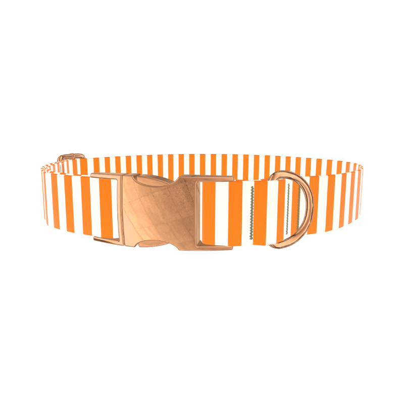 Halloween Stripes Dog Collar - metal silver