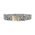 Colorful Leopard Dog Collar - metal silver