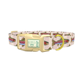 Rainbow Trout Fish Dog Collar - plastic gold