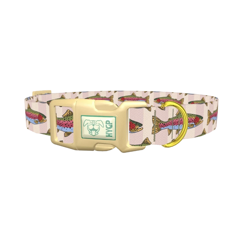 Rainbow Trout Fish Dog Collar - plastic gold