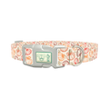 Fall Pumpkin Outline Dog Collar - plastic silver