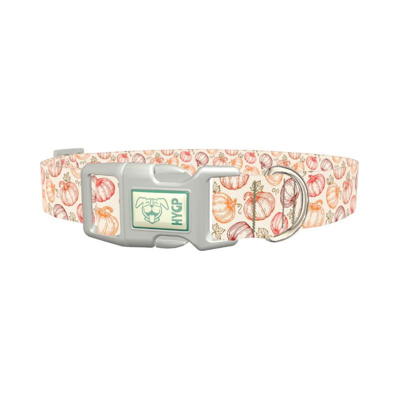 Fall Pumpkin Outline Dog Collar - plastic silver