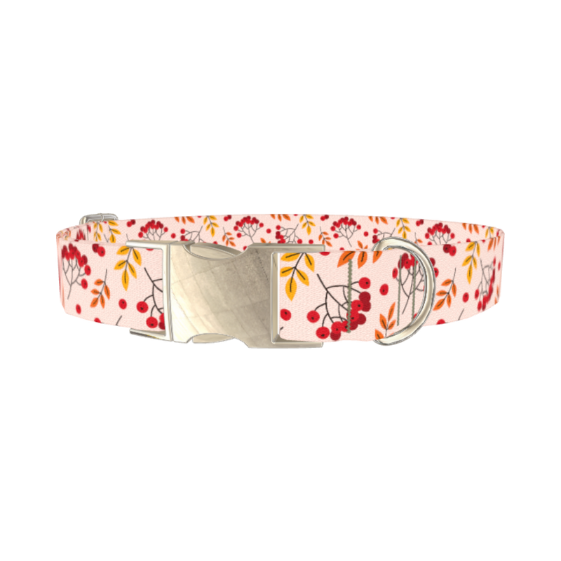 Autumn Rowanberry Dog Collar - metal silver