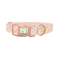 Peach Daisy Pattern Dog Collar - plastic rose gold