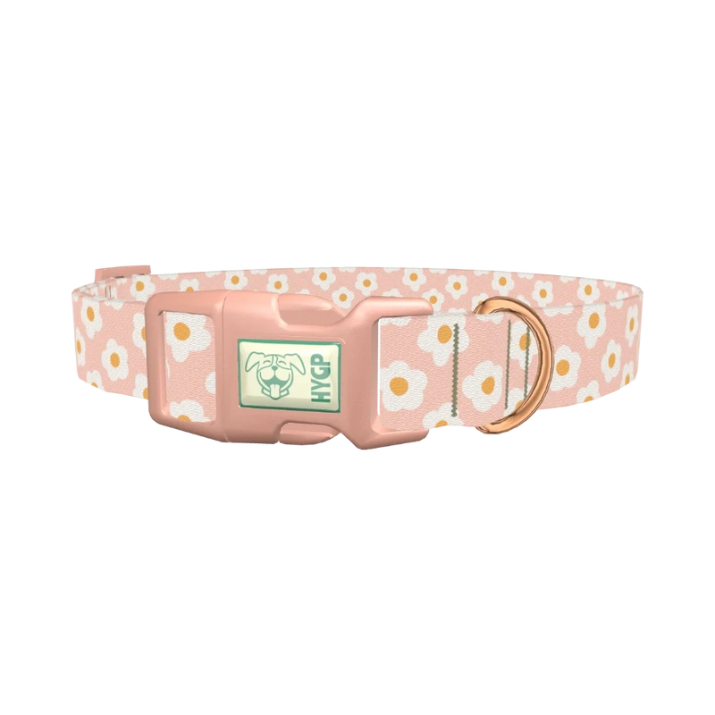 Peach Daisy Pattern Dog Collar - plastic rose gold