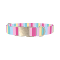 Pastel Stripe Mix Dog Collar - metal silver