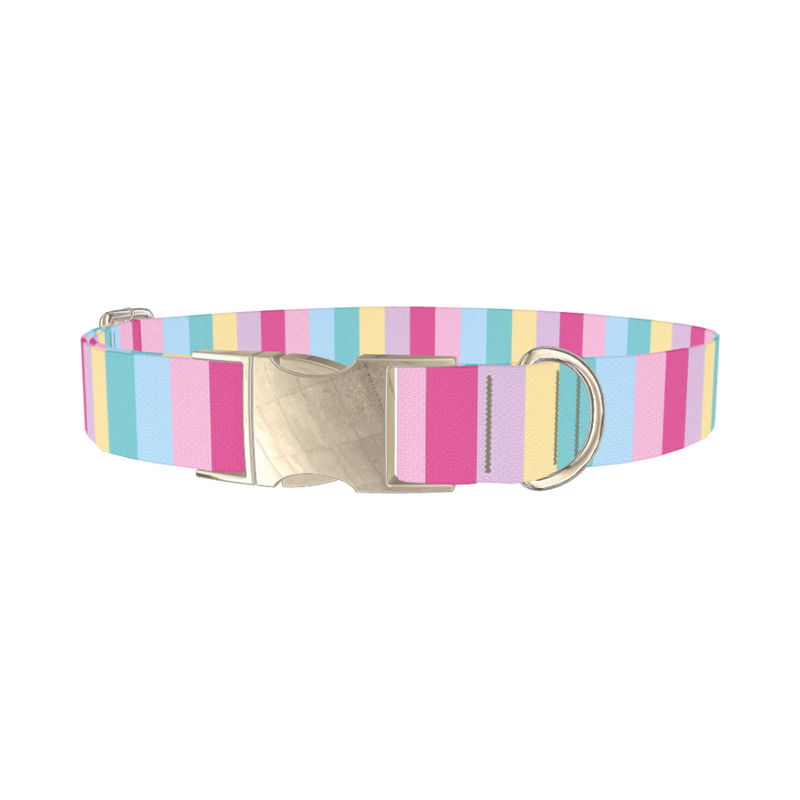 Pastel Stripe Mix Dog Collar - metal silver