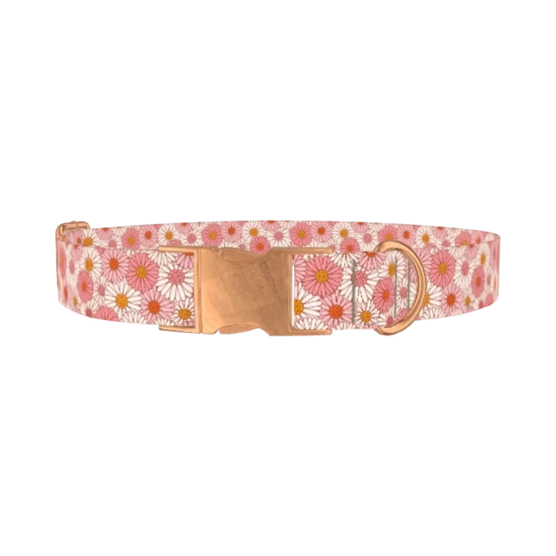 Chamomile Floral Dog Collar - metal rose gold