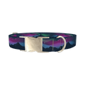Northern Lights Dog Collar - metal silver