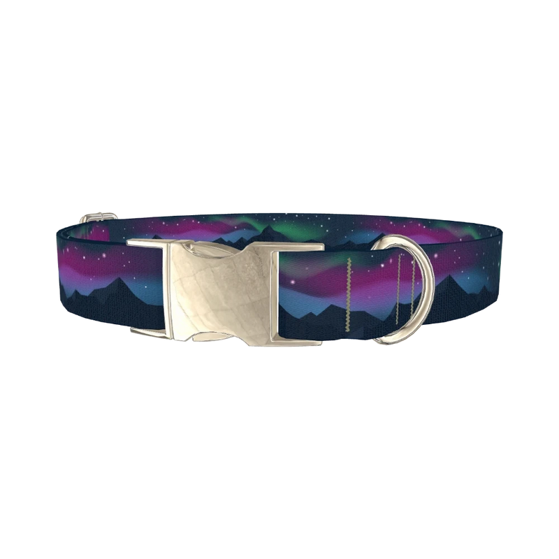 Northern Lights Dog Collar - metal silver