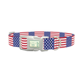 Patriotic American Flag Dog Collar - plastic silver
