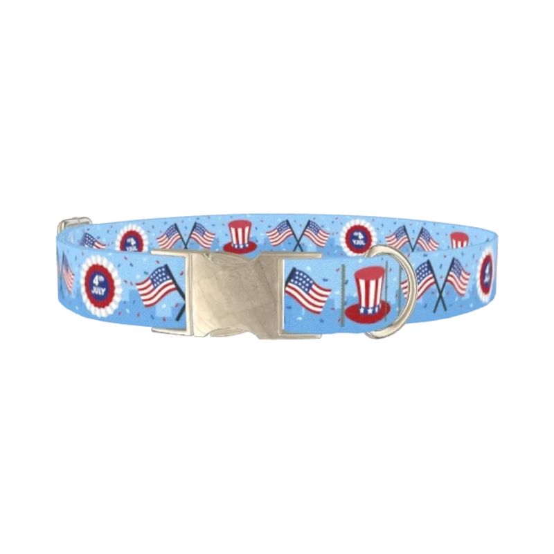 Patriotic American Dog Collar - metal silver