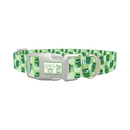 Pickle Jar Dog Collar - plastic silver