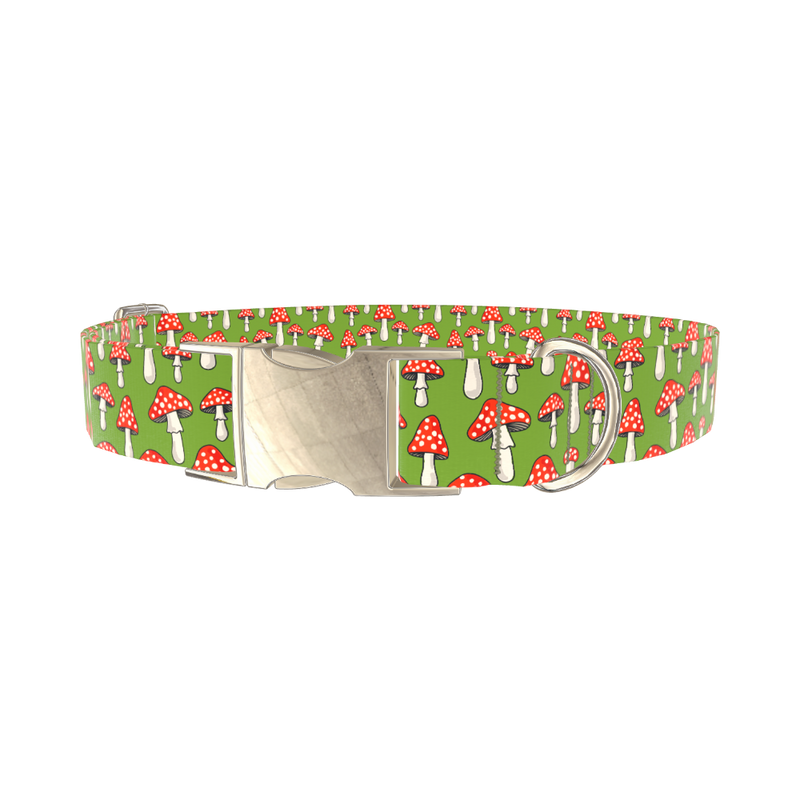 Fly Agaric Mushroom Dog Collar - metal gold
