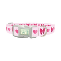 Valentine Ribbon Dog Collar - plastic silver