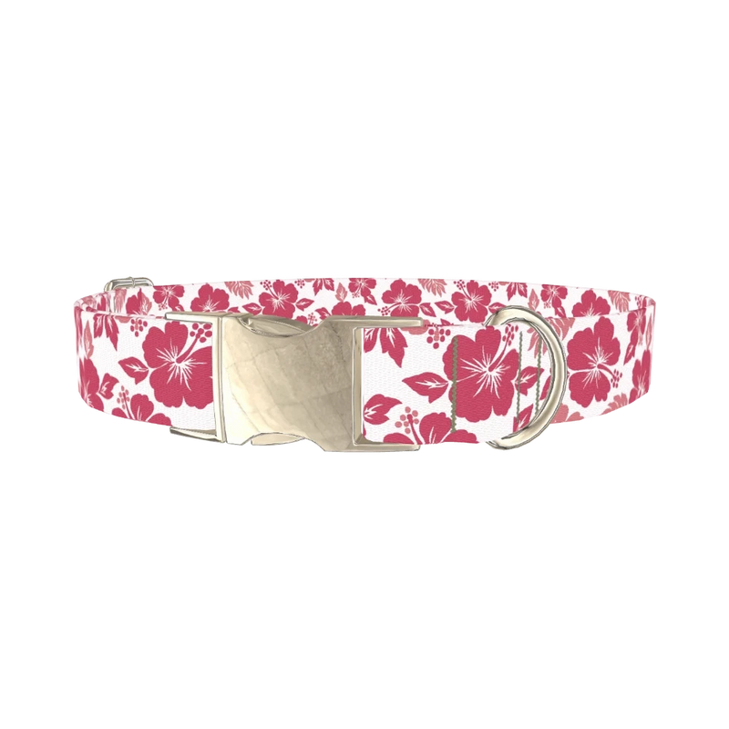 Hibiscus Blossom Dog Collar - metal silver