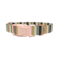 Honeycomb Stripe Dog Collar - plastic gold