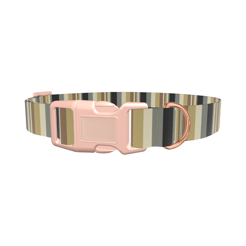 Honeycomb Stripe Dog Collar - plastic gold