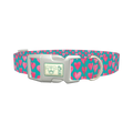 Pink Heart Valentine Dog Collar - plastic silver