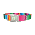 Wavy Rainbow Stripe Dog Collar - plastic silver