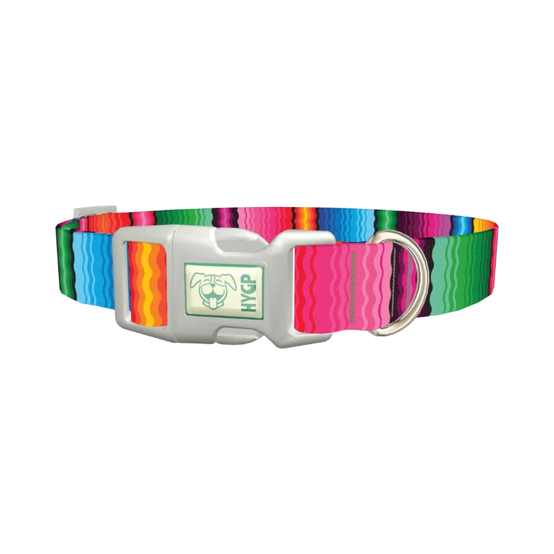 Wavy Rainbow Stripe Dog Collar - plastic silver