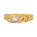 Honeycomb Bee Dog Collar - plastic rose gold