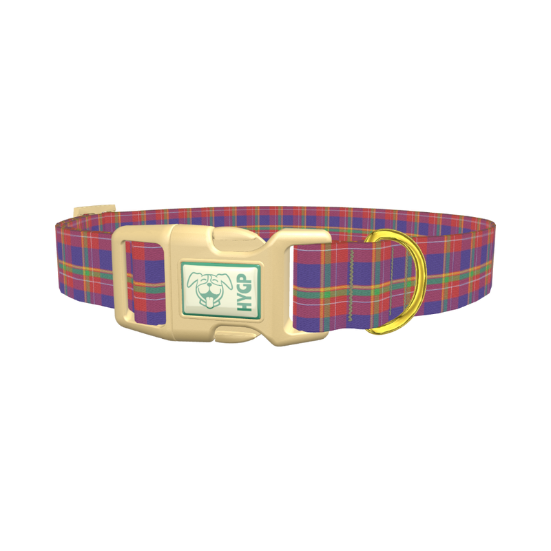 Multicolor Plaid Dog Collar - plastic gold