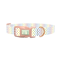 Rainbow Polka Dot Dog Collar - plastic rose gold