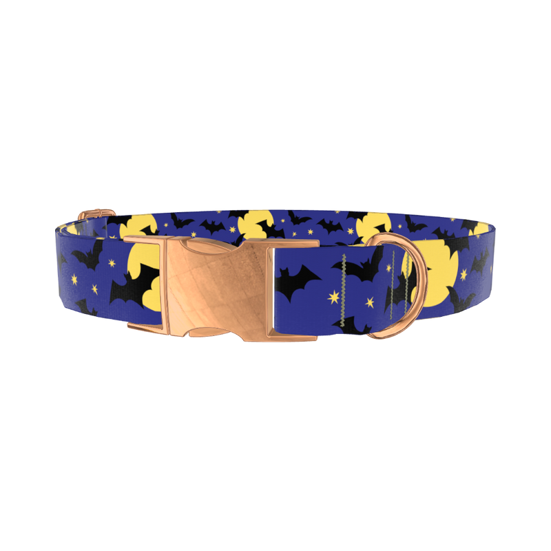 Halloween Night Dog Collar - metal silver