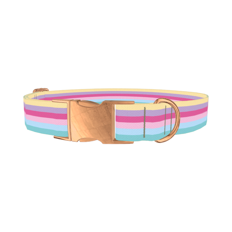 Pastel Striped Dog Collar - metal rose gold