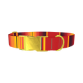 Mexican Red Stripe Dog Collar - metal gold
