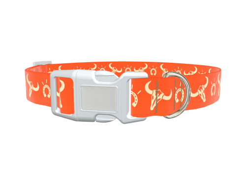 Western Skull Dog Collar