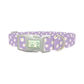 Purple Daisy Pattern Dog Collar - plastic silver